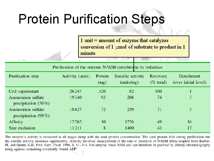 Protein Purification Steps 1 unit = amount of enzyme that catalyzes conversion of 1 Protein Purification Steps 1 unit = amount of enzyme that catalyzes conversion of 1