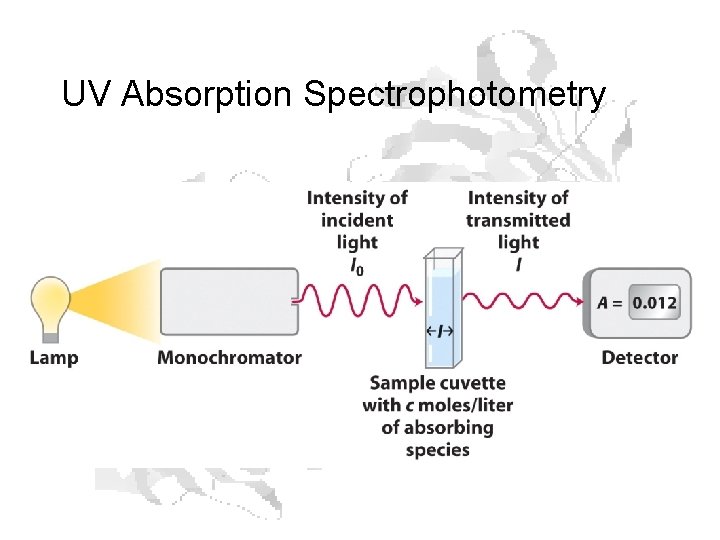 UV Absorption Spectrophotometry UV Absorption Spectrophotometry
