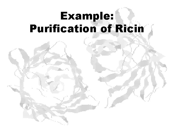 Example: Purification of Ricin Example: Purification of Ricin
