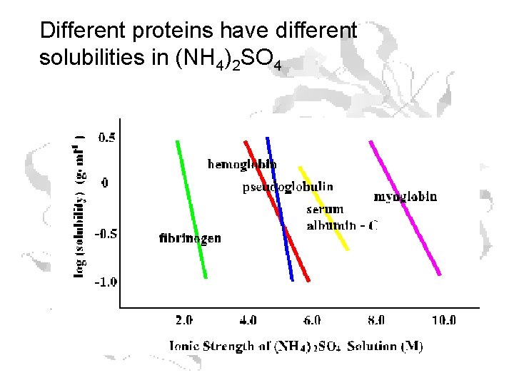 Different proteins have different solubilities in (NH 4)2 SO 4 Different proteins have different solubilities in (NH 4)2 SO 4