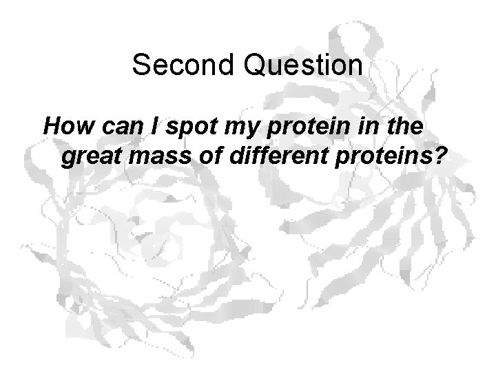 Second Question How can I spot my protein in the great mass of different Second Question How can I spot my protein in the great mass of different