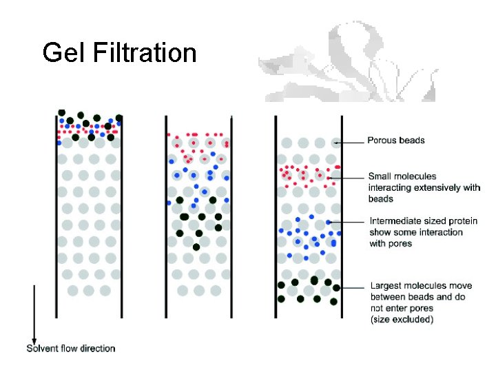 Gel Filtration Gel Filtration