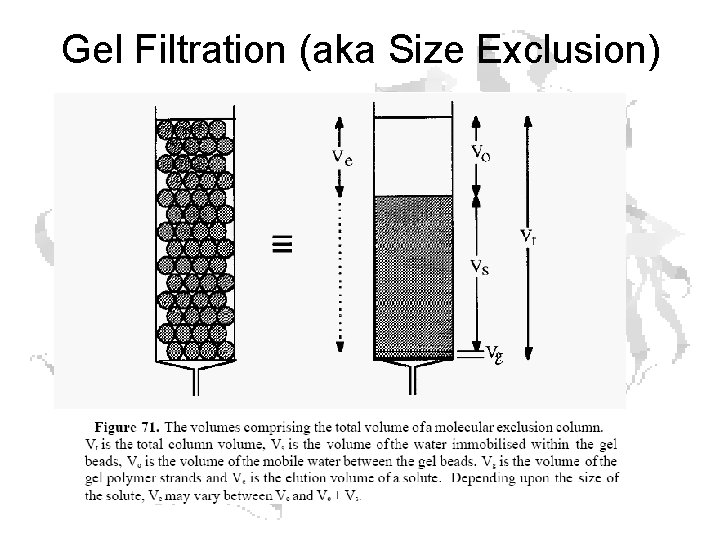 Gel Filtration (aka Size Exclusion) Gel Filtration (aka Size Exclusion)