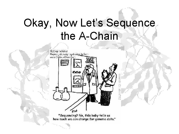 Okay, Now Let’s Sequence the A-Chain Okay, Now Let’s Sequence the A-Chain