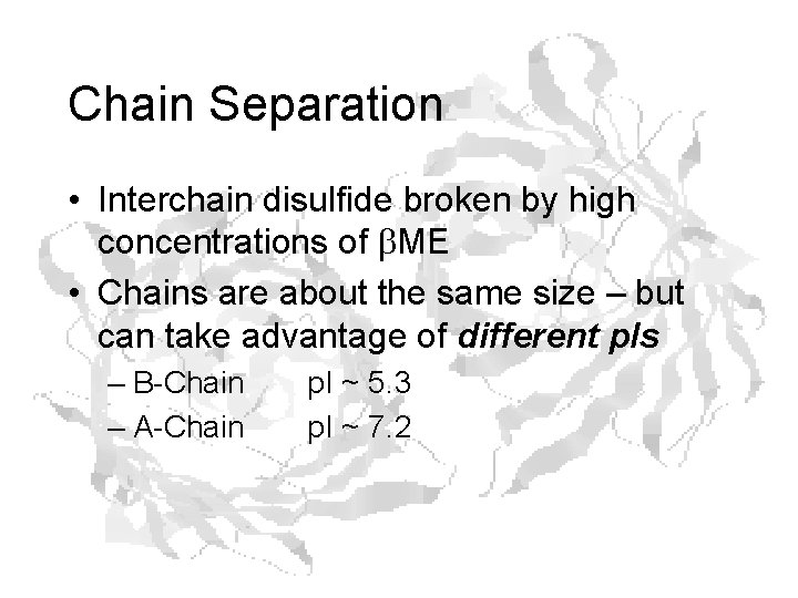 Chain Separation • Interchain disulfide broken by high concentrations of b. ME • Chains Chain Separation • Interchain disulfide broken by high concentrations of b. ME • Chains