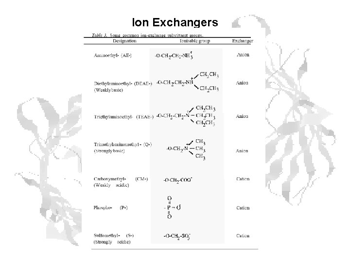 Ion Exchangers Ion Exchangers