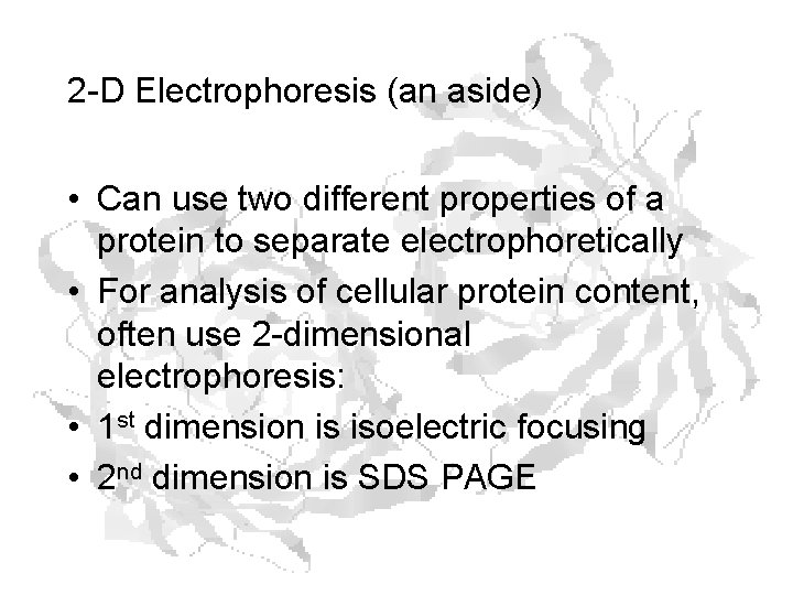 2 -D Electrophoresis (an aside) • Can use two different properties of a protein 2 -D Electrophoresis (an aside) • Can use two different properties of a protein