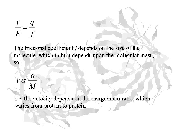 The frictional coefficient f depends on the size of the molecule, which in turn The frictional coefficient f depends on the size of the molecule, which in turn