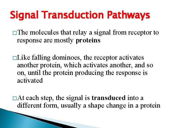 Signal Transduction Pathways �The molecules that relay a signal from receptor to response are