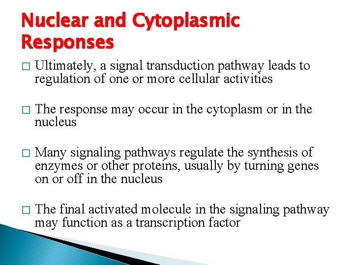 Nuclear and Cytoplasmic Responses � Ultimately, a signal transduction pathway leads to regulation of