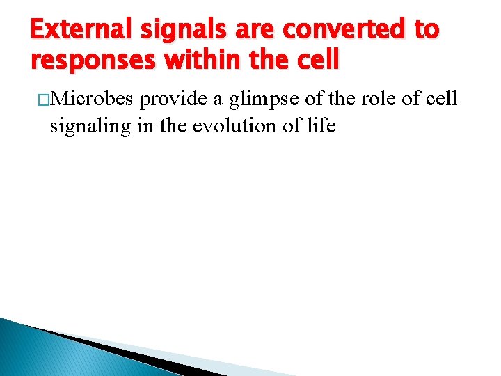 External signals are converted to responses within the cell �Microbes provide a glimpse of