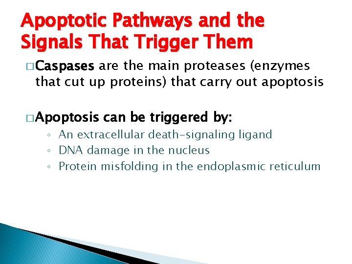 Apoptotic Pathways and the Signals That Trigger Them � Caspases are the main proteases