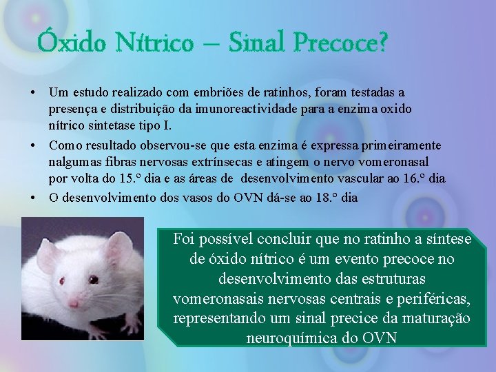 Óxido Nítrico – Sinal Precoce? • Um estudo realizado com embriões de ratinhos, foram