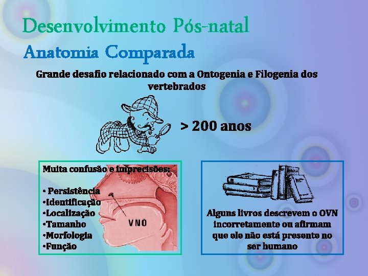 Desenvolvimento Pós-natal Anatomia Comparada Grande desafio relacionado com a Ontogenia e Filogenia dos vertebrados