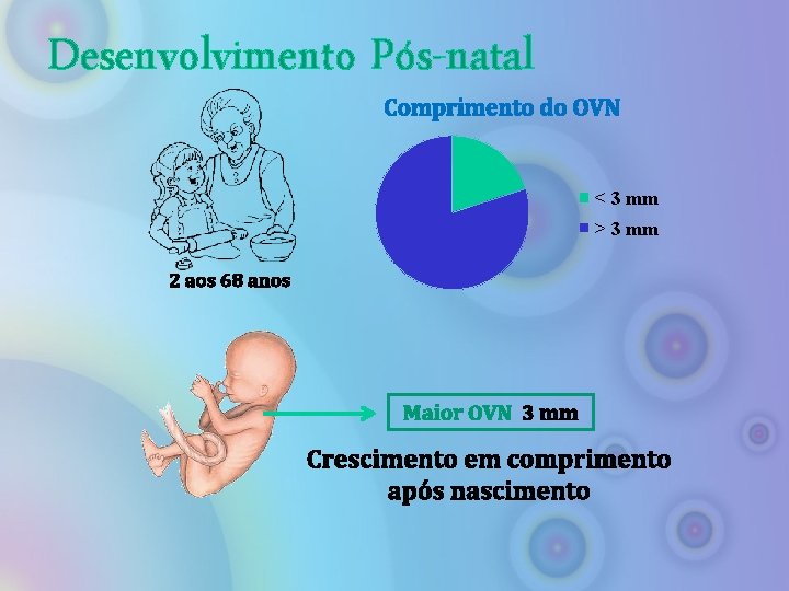 Desenvolvimento Pós-natal Comprimento do OVN < 3 mm > 3 mm 2 aos 68