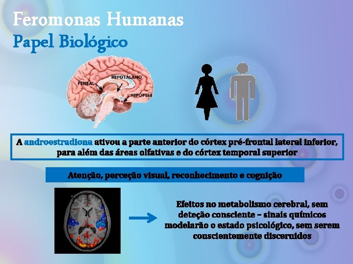 Feromonas Humanas Papel Biológico A androestradiona ativou a parte anterior do córtex pré-frontal lateral
