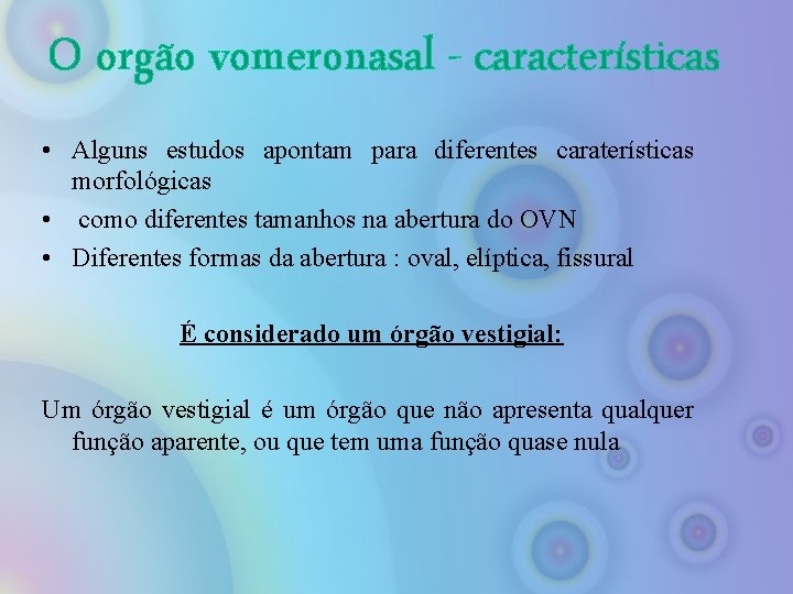 O orgão vomeronasal - características • Alguns estudos apontam para diferentes caraterísticas morfológicas •
