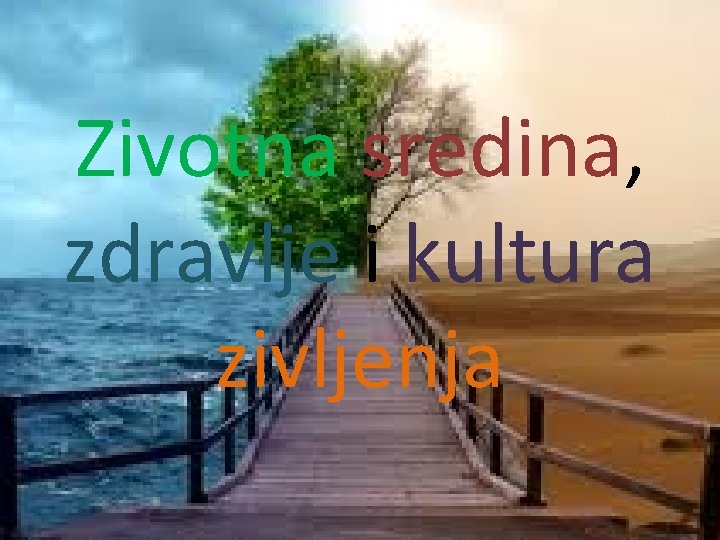 Zivotna sredina, zdravlje i kultura zivljenja 