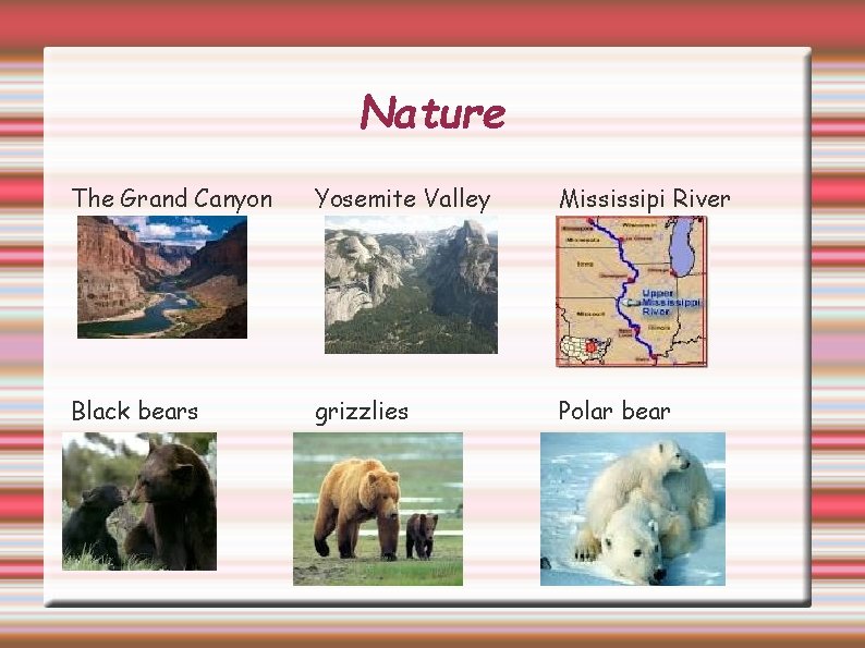 Nature The Grand Canyon Yosemite Valley Mississipi River Black bears grizzlies Polar bear 