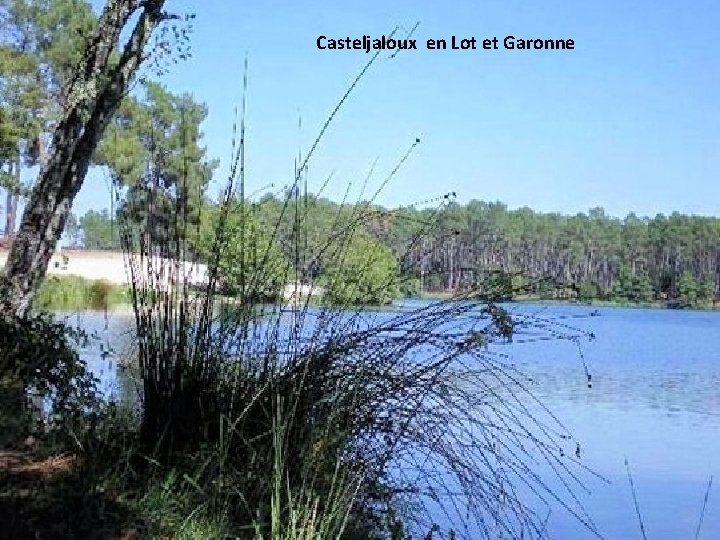 Casteljaloux en Lot et Garonne 