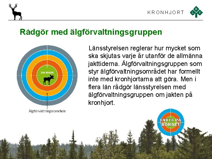 KRONHJORT Rådgör med älgförvaltningsgruppen Länsstyrelsen reglerar hur mycket som ska skjutas varje år utanför