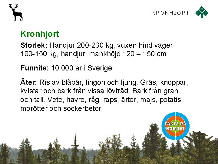 KRONHJORT Kronhjort Storlek: Handjur 200 -230 kg, vuxen hind väger 100 -150 kg, handjur,