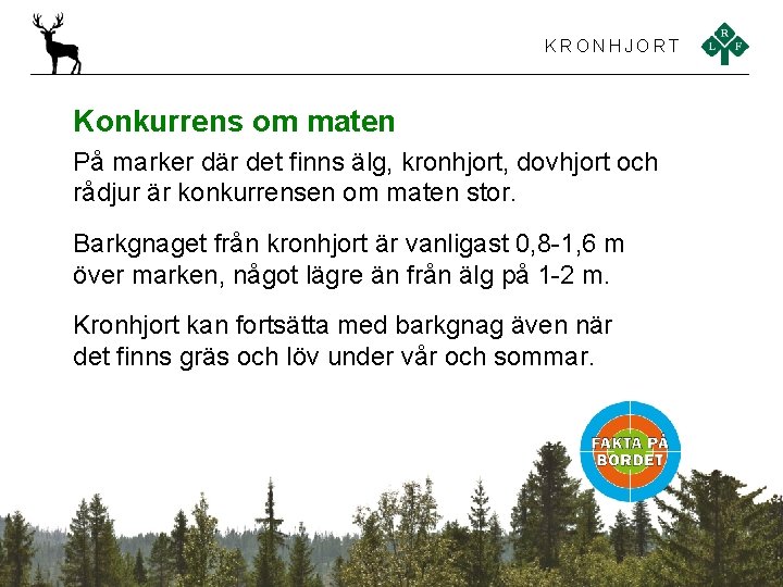 KRONHJORT Konkurrens om maten På marker där det finns älg, kronhjort, dovhjort och rådjur