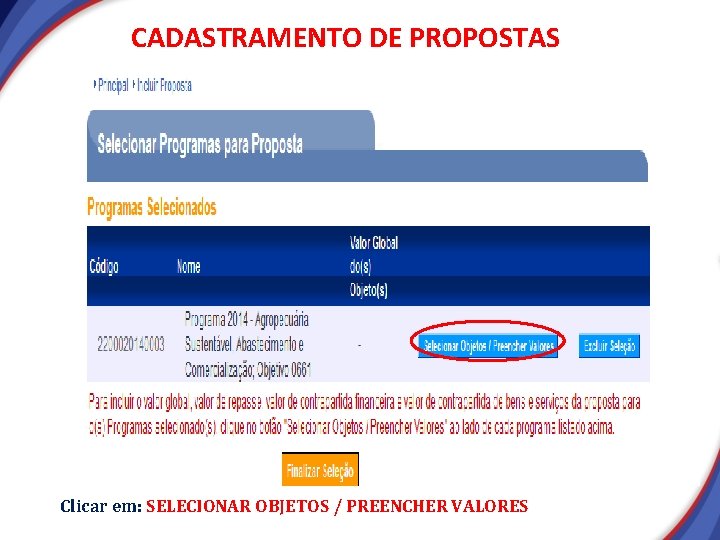 CADASTRAMENTO DE PROPOSTAS Clicar em: SELECIONAR OBJETOS / PREENCHER VALORES CADASTRAMENTO DE PROPOSTAS Clicar em: SELECIONAR OBJETOS / PREENCHER VALORES