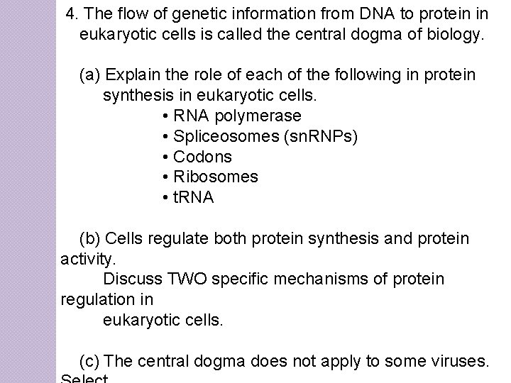 4. The flow of genetic information from DNA to protein in eukaryotic cells is