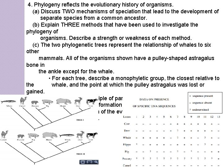 4. Phylogeny reflects the evolutionary history of organisms. (a) Discuss TWO mechanisms of speciation