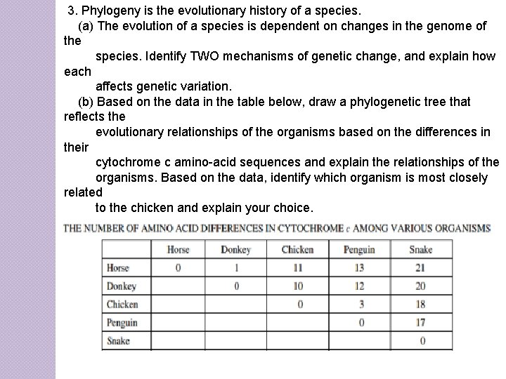 3. Phylogeny is the evolutionary history of a species. (a) The evolution of a