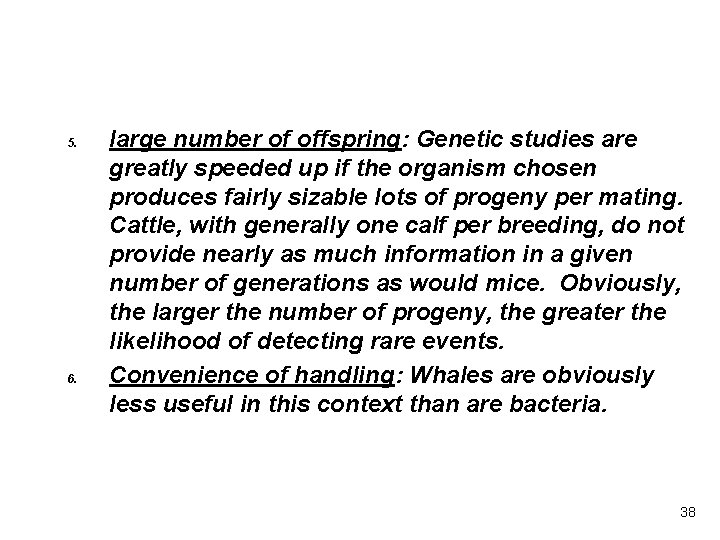 5. 6. large number of offspring: Genetic studies are greatly speeded up if the