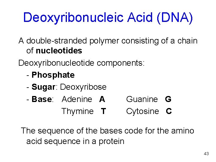 Deoxyribonucleic Acid (DNA) A double-stranded polymer consisting of a chain of nucleotides Deoxyribonucleotide components: