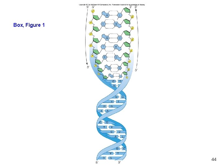 Box, Figure 1 Reading 1. 1, Figure 1 44 