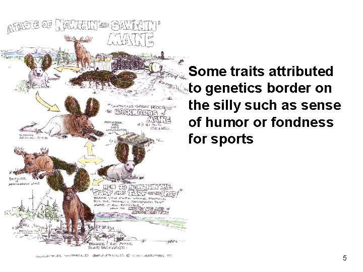 Some traits attributed to genetics border on the silly such as sense of humor