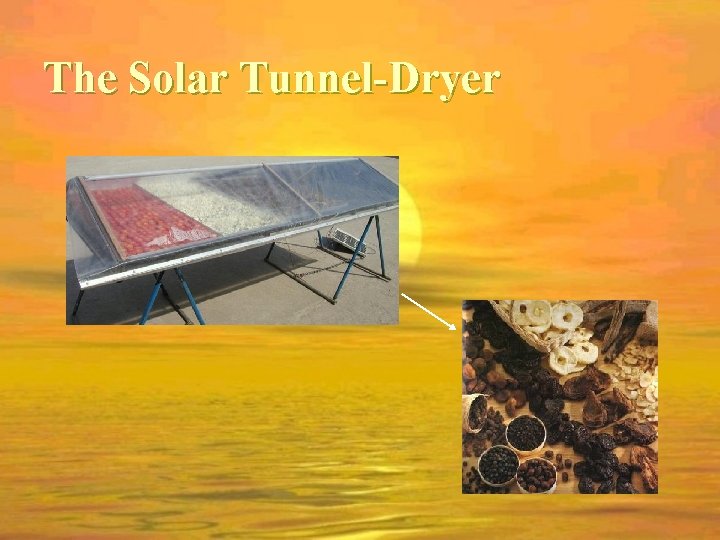The Solar Tunnel-Dryer 
