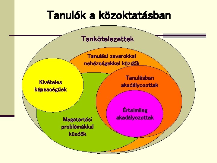 Tanulók a közoktatásban Tankötelezettek Tanulási zavarokkal nehézségekkel küzdők Kivételes képességűek Magatartási problémákkal küzdők Tanulásban