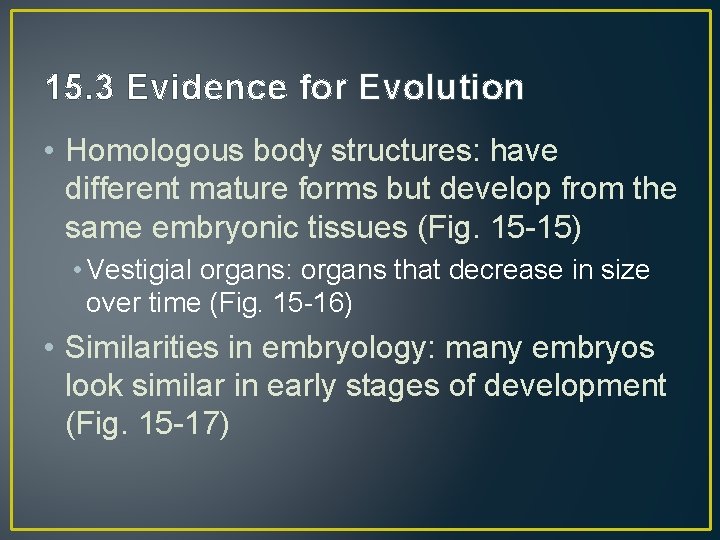 15. 3 Evidence for Evolution • Homologous body structures: have different mature forms but
