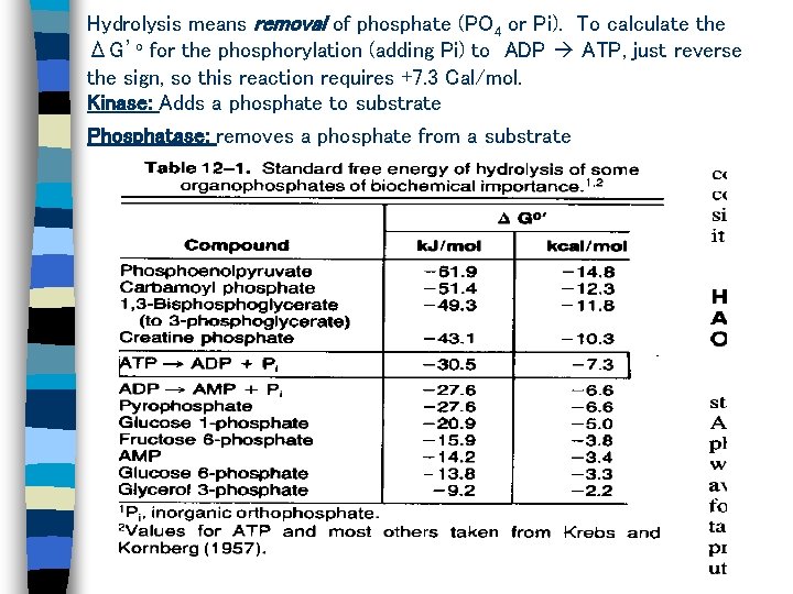 Hydrolysis means removal of phosphate (PO 4 or Pi). To calculate the ΔG’o for Hydrolysis means removal of phosphate (PO 4 or Pi). To calculate the ΔG’o for