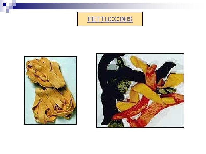 FETTUCCINIS 