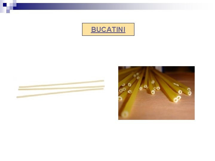 BUCATINI 