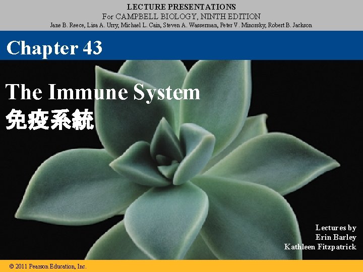 LECTURE PRESENTATIONS For CAMPBELL BIOLOGY, NINTH EDITION Jane B. Reece, Lisa A. Urry, Michael