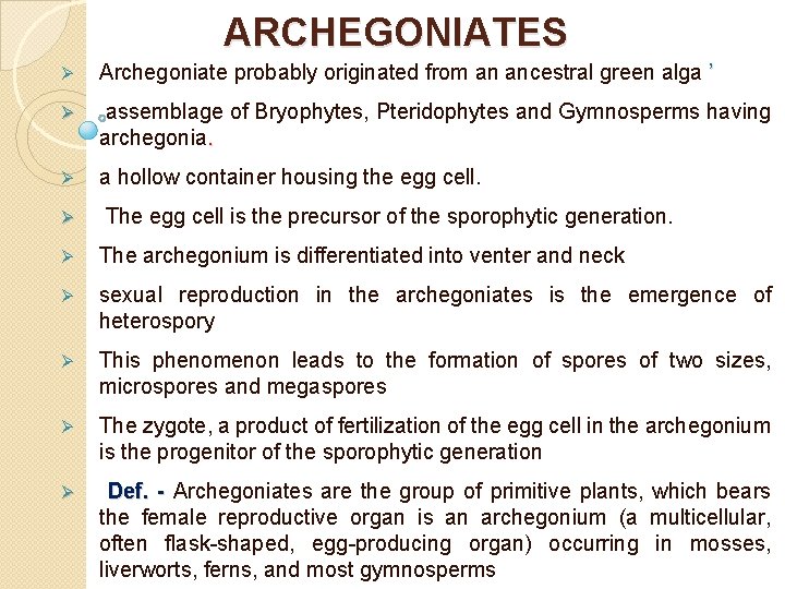 ARCHEGONIATES Ø Archegoniate probably originated from an ancestral green alga ’ Ø assemblage of