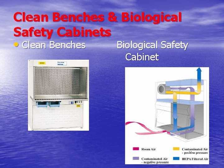 Clean Benches & Biological Safety Cabinets • Clean Benches Biological Safety Cabinet 