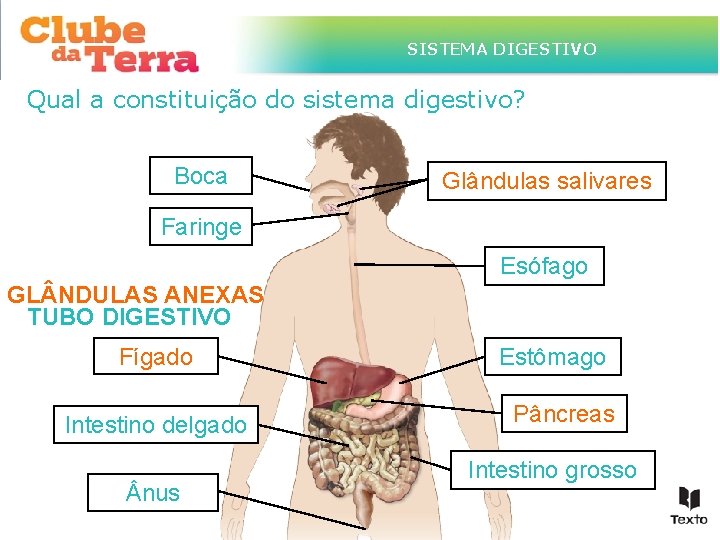 TÍTULO DO ASSUNTO A SER TRATADO NESTE POWERPOINT QUE TEM SISTEMA DIGESTIVO UM TÍTULO