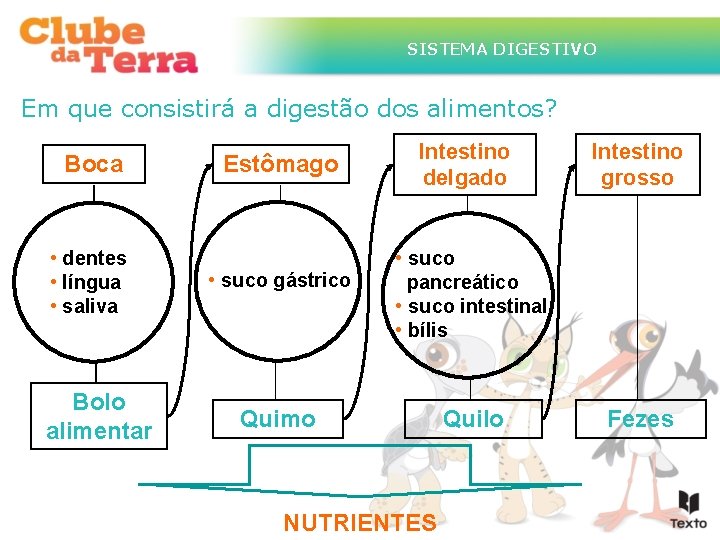 SISTEMA DIGESTIVO Em que consistirá a digestão dos alimentos? Boca • dentes • língua