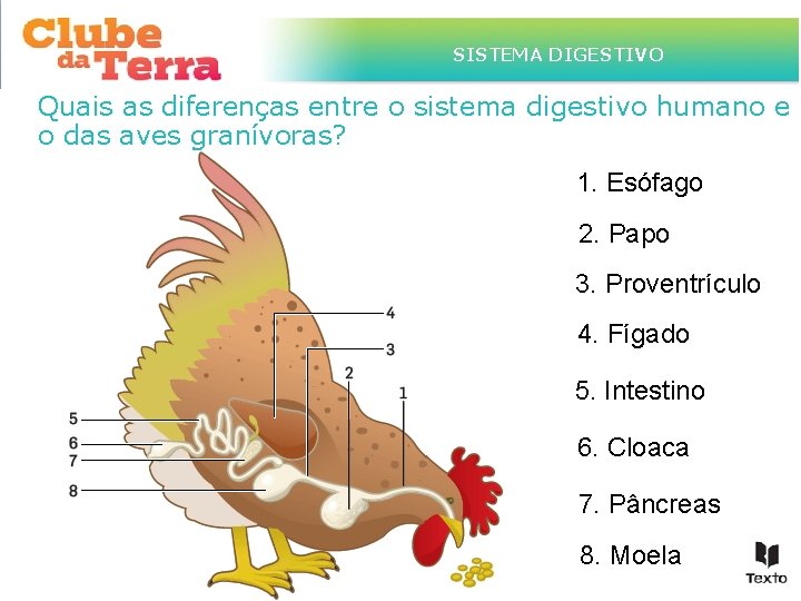 TÍTULO DO ASSUNTO A SER TRATADO NESTE POWERPOINT QUE TEM SISTEMA DIGESTIVO UM TÍTULO