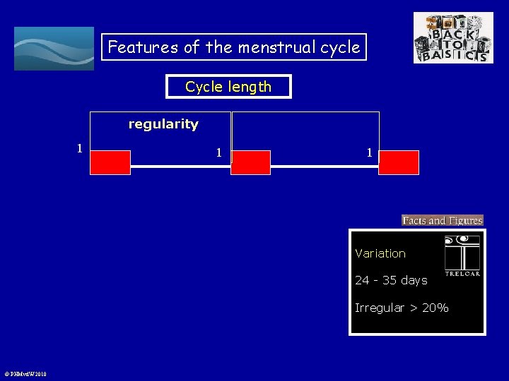 Features of the menstrual cycle Cycle length regularity 1 1 1 Variation 24 -