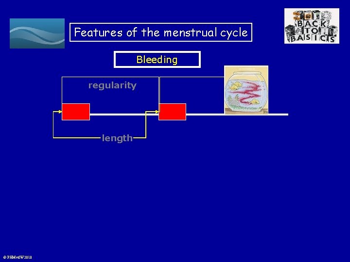 Features of the menstrual cycle Bleeding regularity length © PHMvd. W 2010 