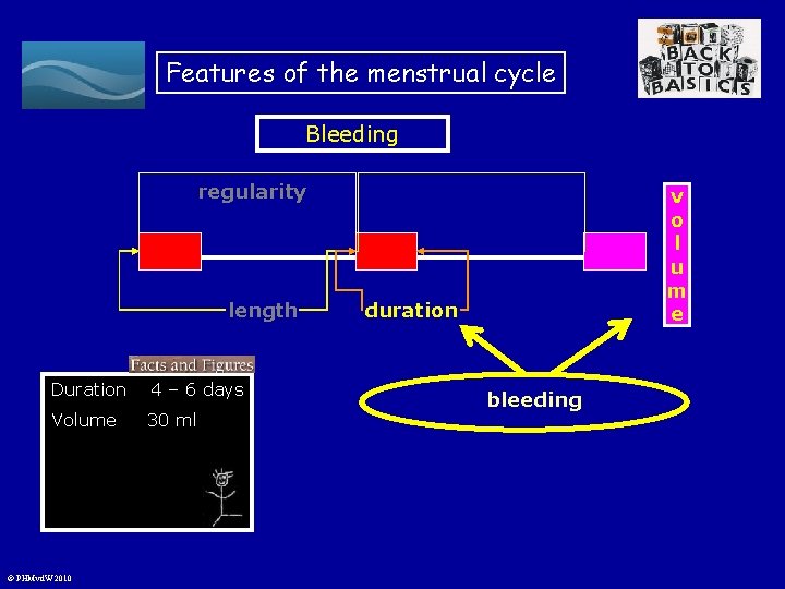 Features of the menstrual cycle Bleeding regularity length Duration 4 – 6 days Volume